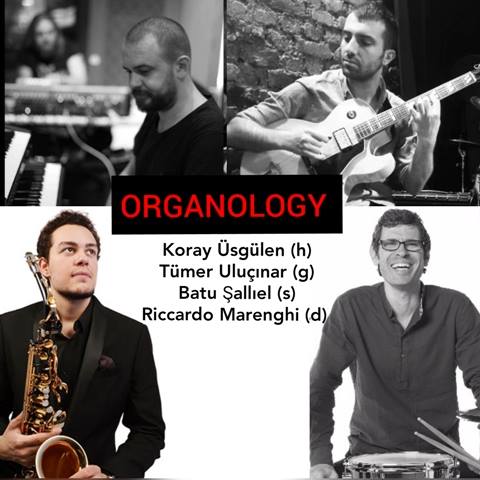 Organology